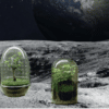 cultiver durablement plantes sur la lune 2025