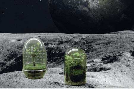 cultiver durablement plantes sur la lune 2025