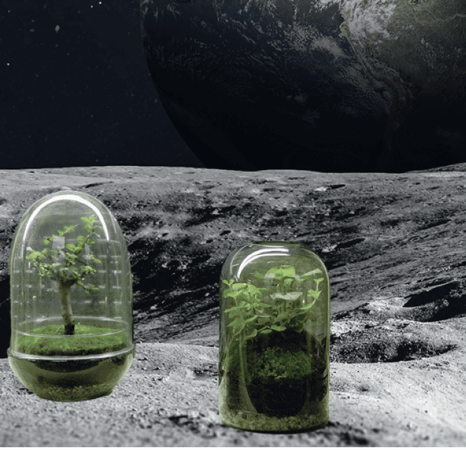 cultiver durablement plantes sur la lune 2025
