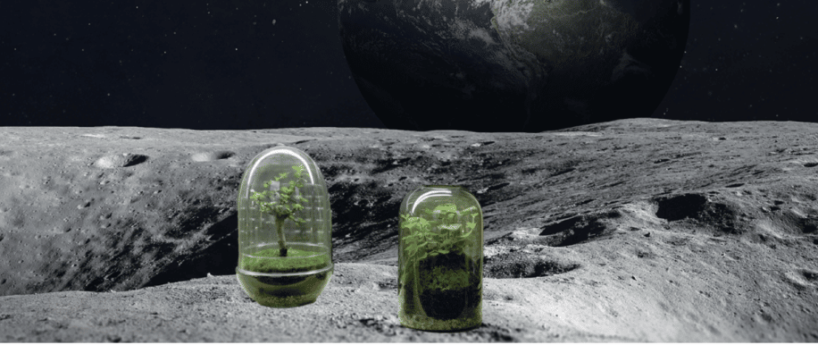 cultiver durablement plantes sur la lune 2025
