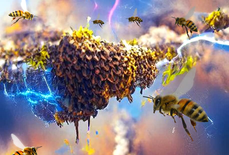 effets essaims insectes electricite atmosphere