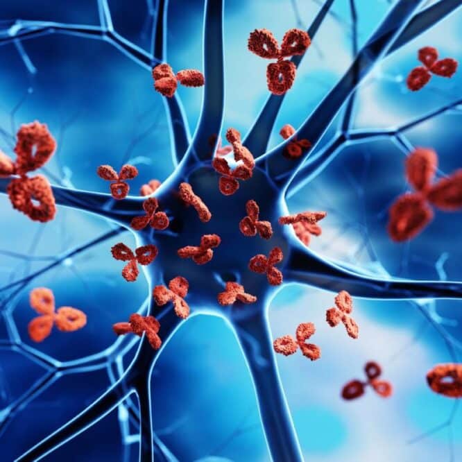 nouvelle proteine traitement maladie autoimmune couv