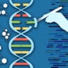 crispr paste grande sequence adn insertion