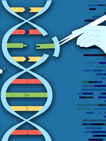 crispr paste grande sequence adn insertion