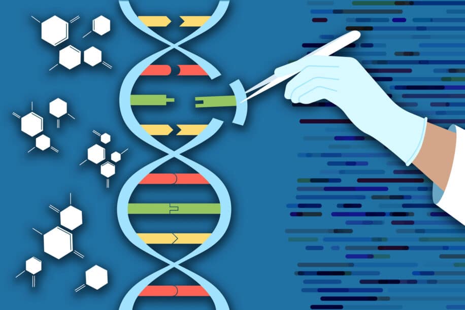 crispr paste grande sequence adn insertion