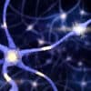 destruction excessive synapses covid symptomes cognitifs persistants couv
