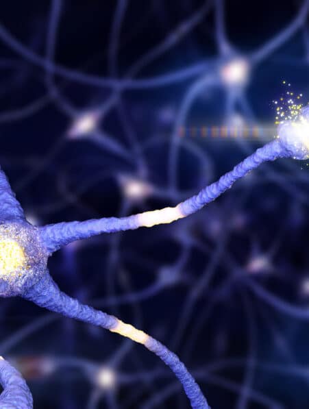 destruction excessive synapses covid symptomes cognitifs persistants couv