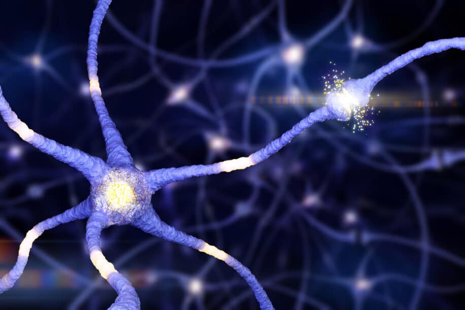 destruction excessive synapses covid symptomes cognitifs persistants couv