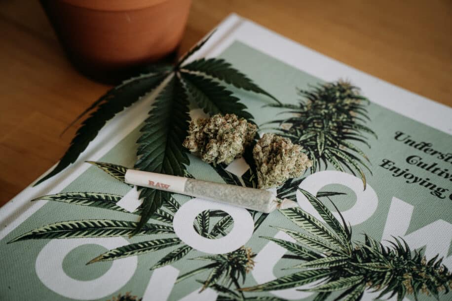 effets poumons cannabis