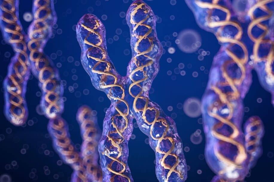 emergence chromosome x egoiste evolution homme couv