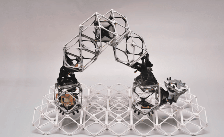 flotte robots constructeurs batir grandes structures