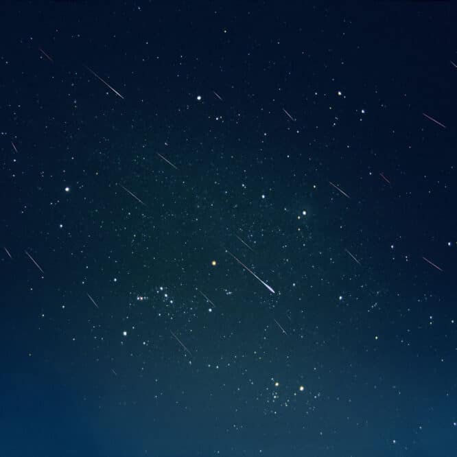 leonides 18 novembre 2022 pluie meteores rapides brillants