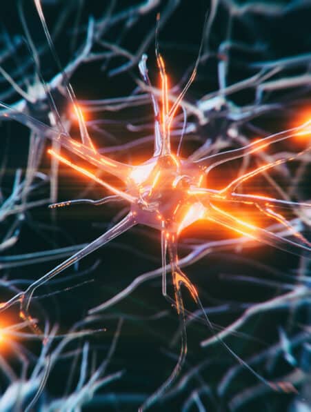 lien covid 19 parkinson inflammation cerveau couv