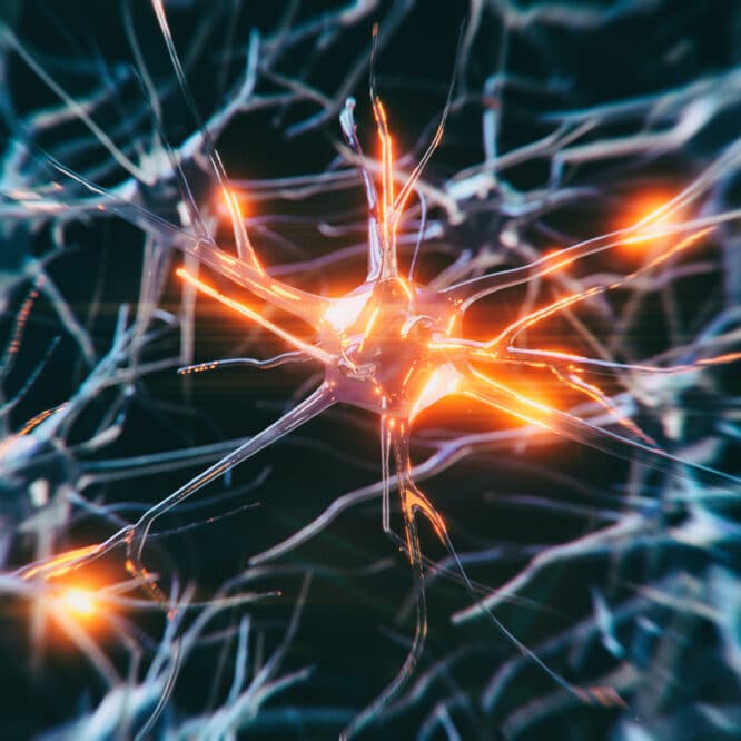 lien covid 19 parkinson inflammation cerveau couv