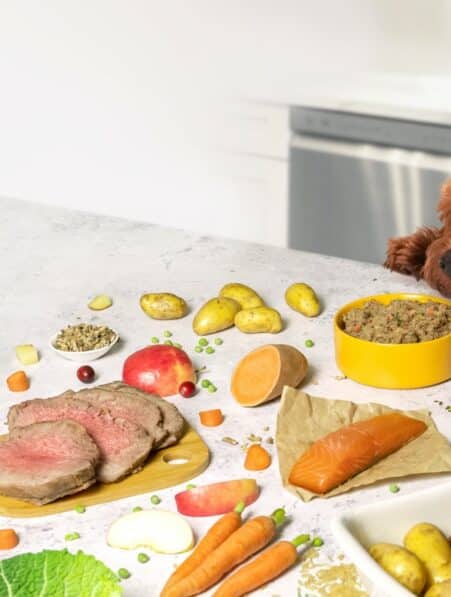 alimentation chien croquettes fait maison couv