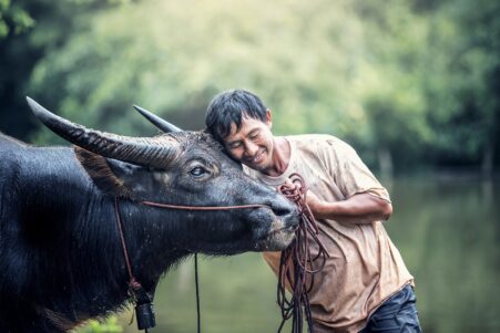 animaux empathique emotion