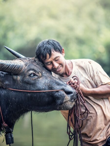 animaux empathique emotion