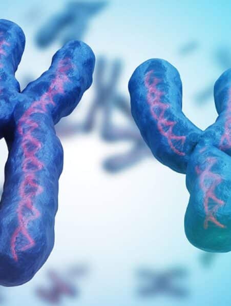 cellules souches male femelle code genetique identique couv