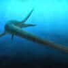 eromangasaurus australis premier fossile entier tete couv