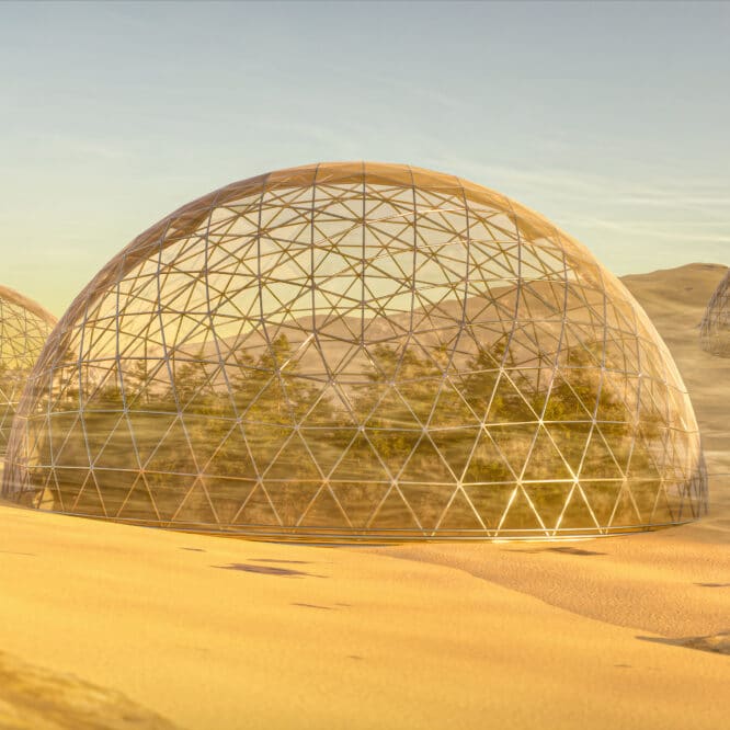 bulles forêts Mars