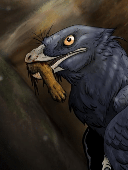 microraptor regime diversifie fossile pied mammifere couv
