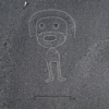 nouveaux dessins desert nazca geoglyphes couv