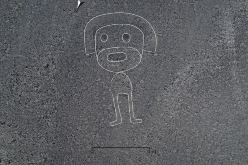 nouveaux dessins desert nazca geoglyphes couv