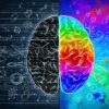 quotient emotionnel qi prediction reussite universite couv