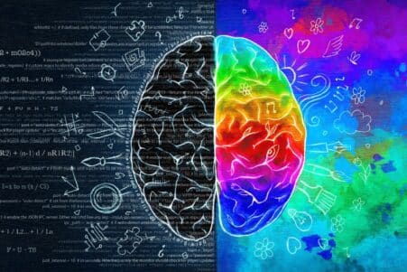 quotient emotionnel qi prediction reussite universite couv