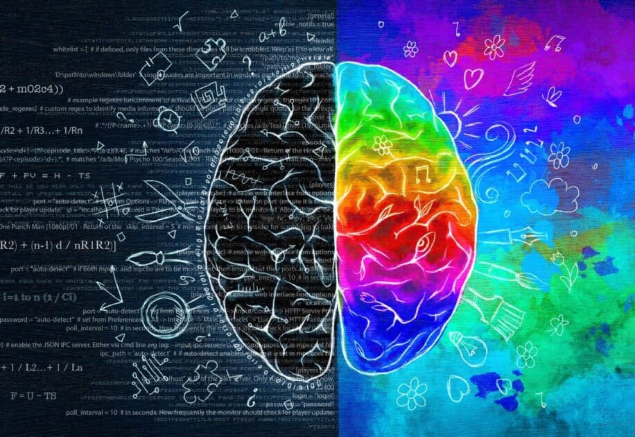 quotient emotionnel qi prediction reussite universite couv