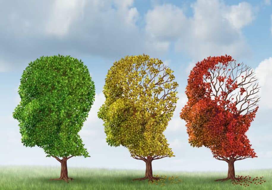 TDAH facteur risque Alzheimer démence