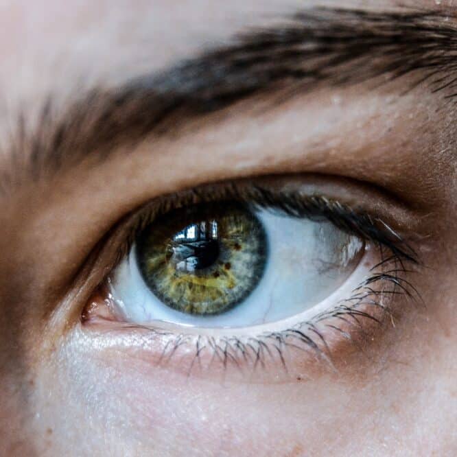 cellule souche degenerescence oculaire
