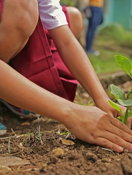 jardinage communautaire sante