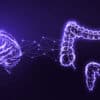 microbiote intestinal outil analyse