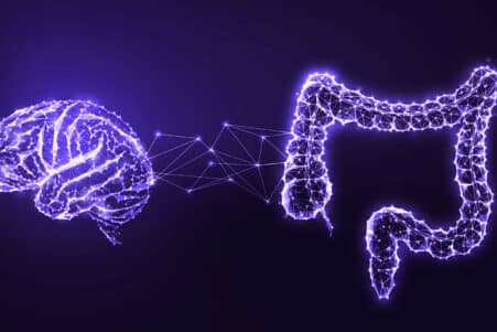 microbiote intestinal outil analyse