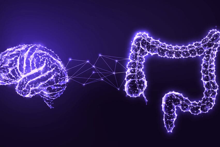 microbiote intestinal outil analyse