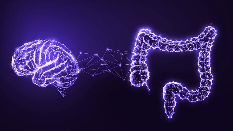 microbiote intestinal outil analyse