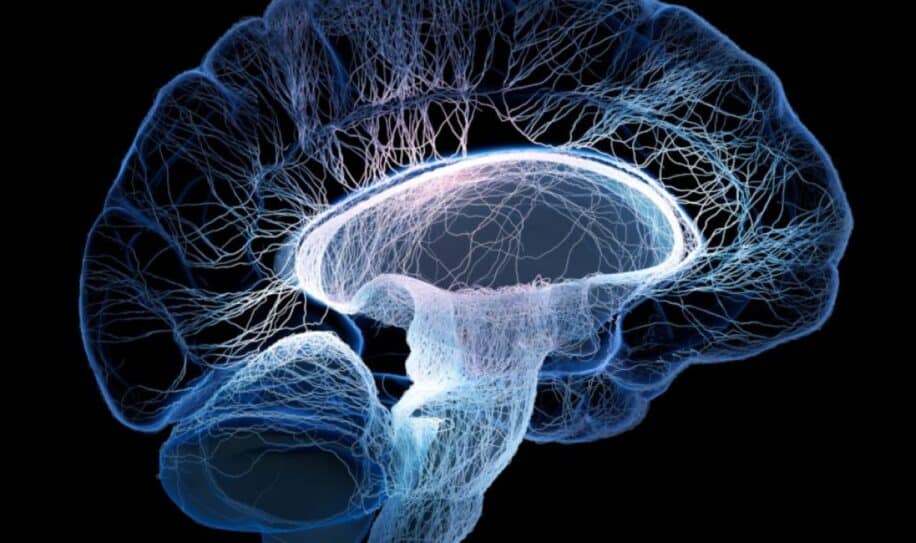 reseau commun zones cerebrales 6 maladies mentales couv