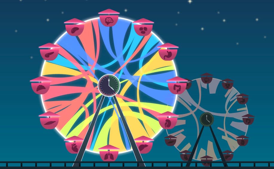 restriction temps prise alimantaire effets genes maladies couv