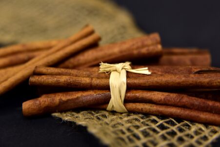 cannelle memoire apprentissage