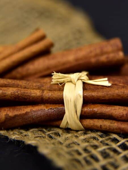 cannelle memoire apprentissage