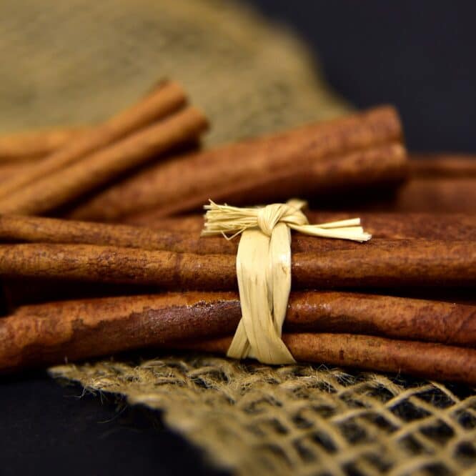 cannelle memoire apprentissage