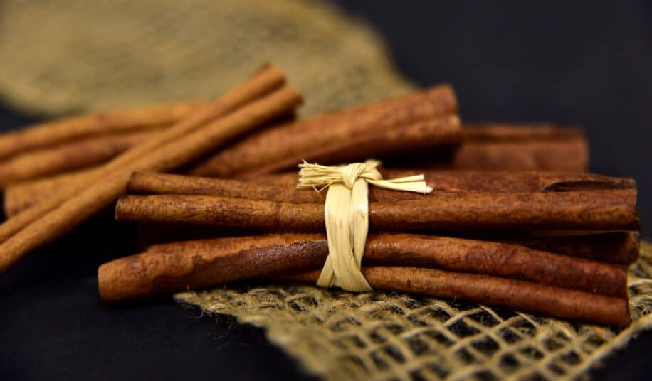 cannelle memoire apprentissage