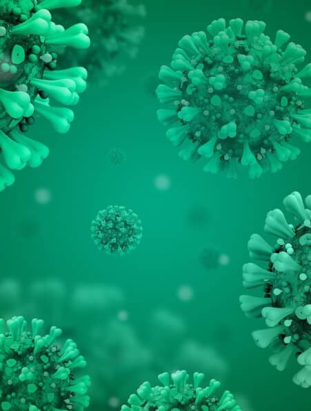covid long neurologique auto immune