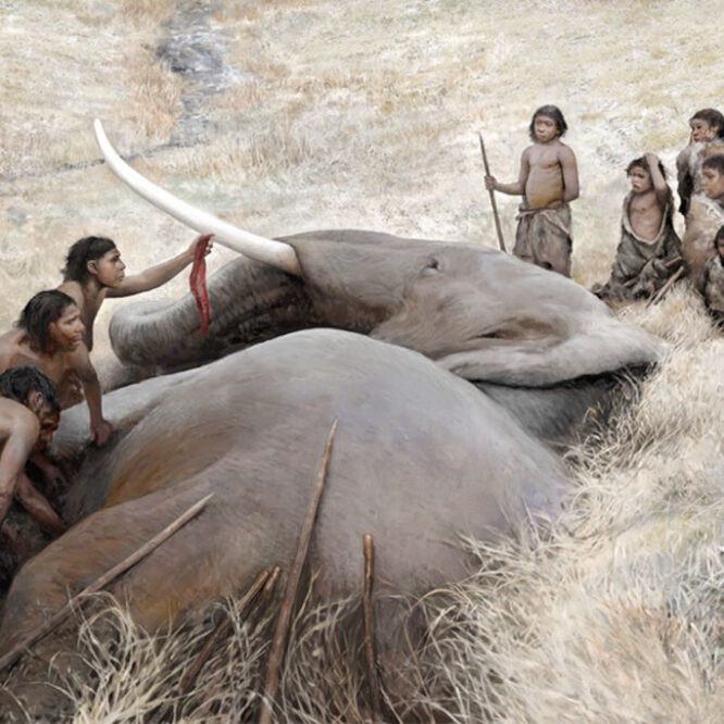 Néandertal preuves chasse éléphants géants