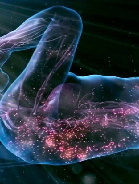 puces cerebrales changement comportement