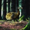 réintroduction dodo édition génétique espèces disparues