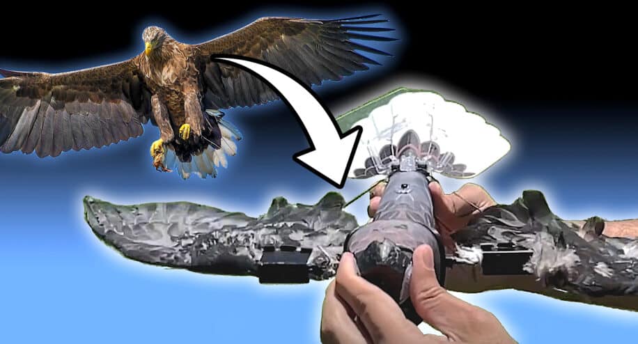 scientifiques utilisent corps oiseaux morts drones