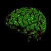 bioethique dangers neurotechnologies legislation