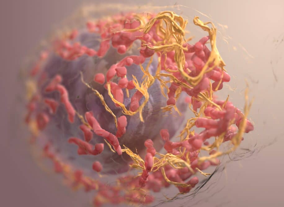 cancereuse immunitaires vaccin cancer